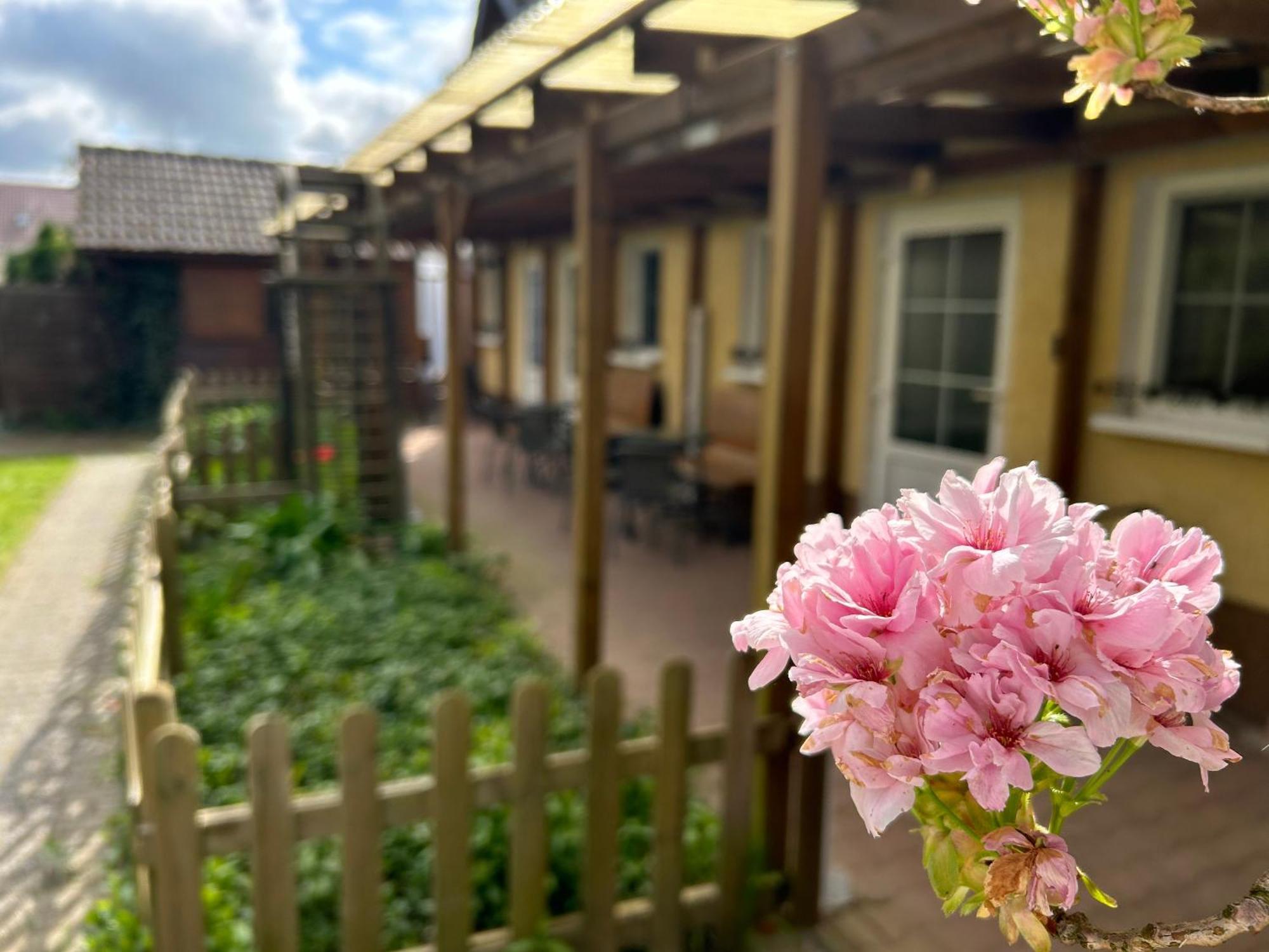 Apartment Gemuetliche Landlust In See-naehe