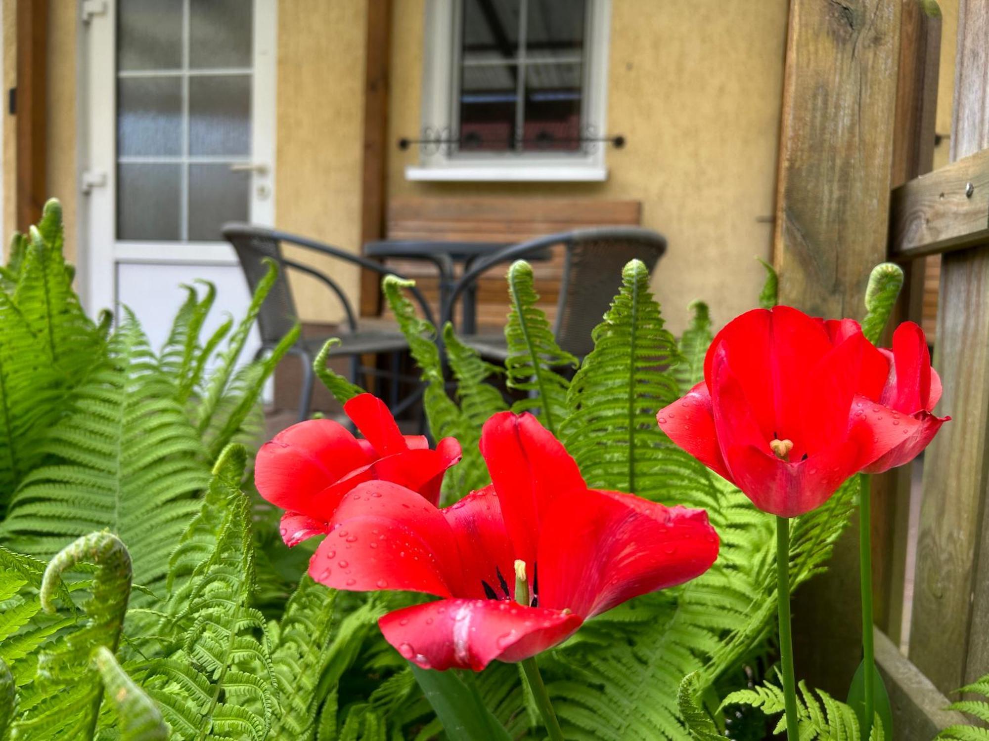 Appartement Gemuetliche Landlust In See-naehe Tauche