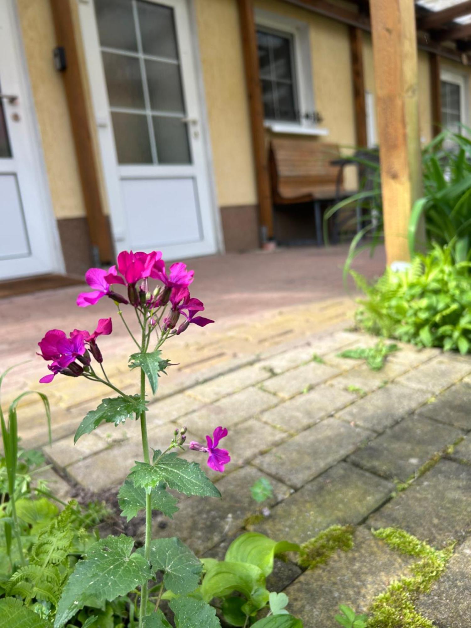 Appartement Gemuetliche Landlust In See-naehe Tauche